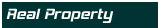 real property